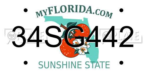 34SG442 Florida License Plate