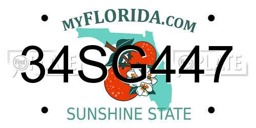 34SG447 Florida License Plate