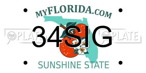 34SIG Florida License Plate