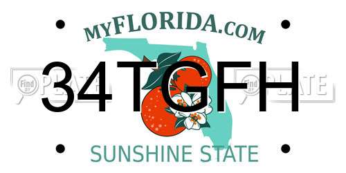 34TGFH Florida License Plate