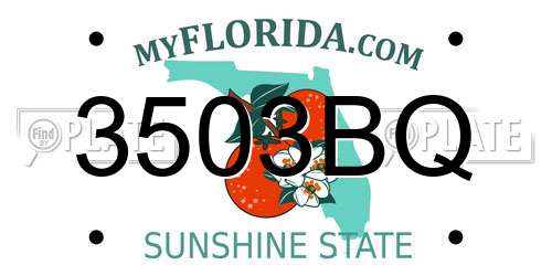 3503BQ Florida License Plate