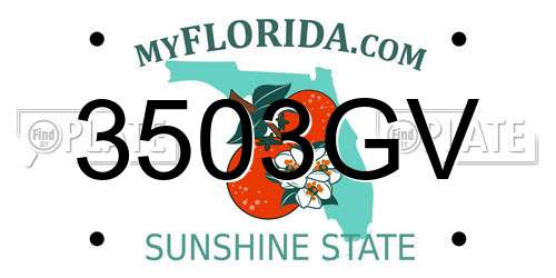 3503GV Florida License Plate
