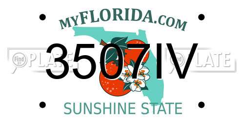 3507IV Florida License Plate