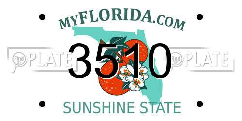 3510 Florida License Plate