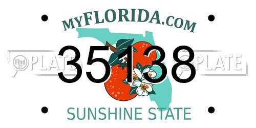 35138 Florida License Plate