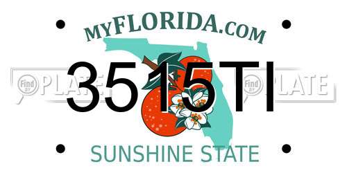 3515TI Florida License Plate