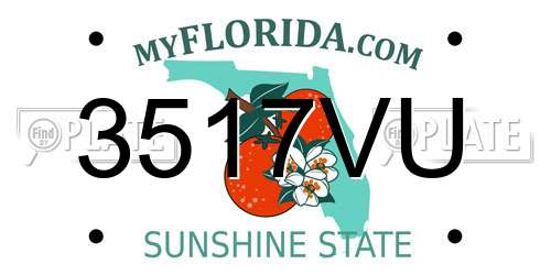 3517VU Florida License Plate
