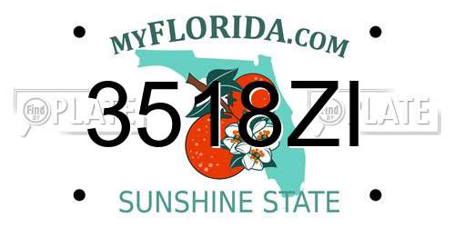 3518ZI Florida License Plate