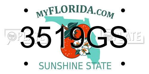 3519GS Florida License Plate