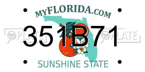 351B71 Florida License Plate