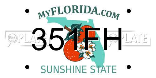 351FH Florida License Plate