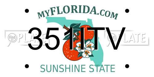351ITV Florida License Plate