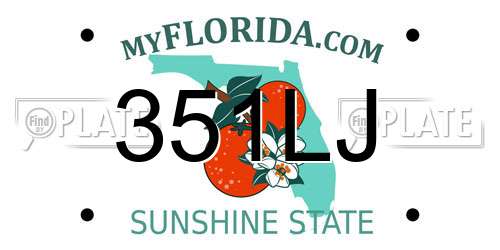 351LJ Florida License Plate