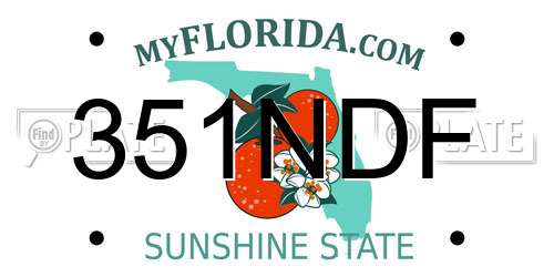351NDF Florida License Plate