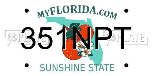 351NPT Florida License Plate