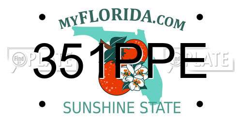 351PPE Florida License Plate