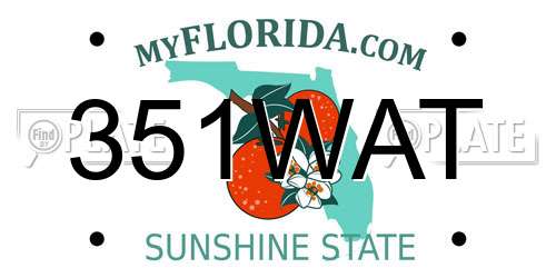 351WAT Florida License Plate
