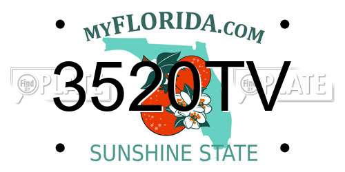 3520TV Florida License Plate