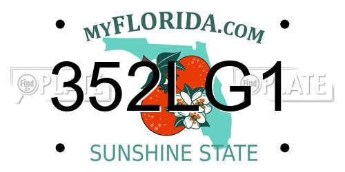 352LG1 Florida License Plate