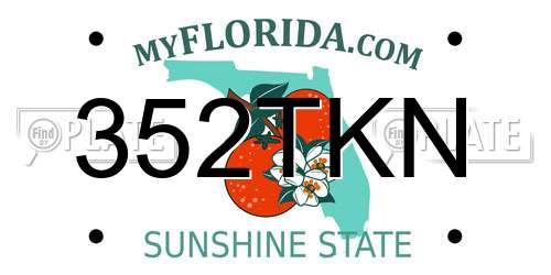 352TKN Florida License Plate