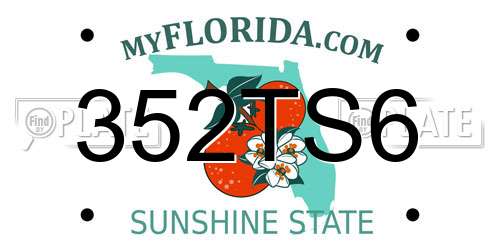 352TS6 Florida License Plate