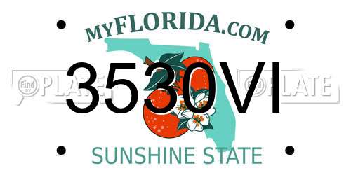 3530VI Florida License Plate