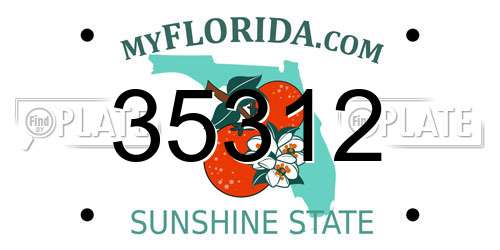 35312 Florida License Plate