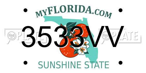 3533VV Florida License Plate
