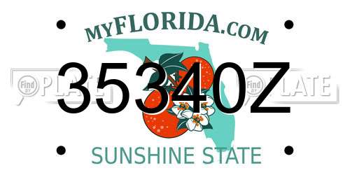 35340Z Florida License Plate