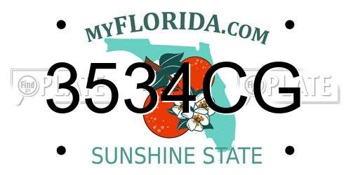 3534CG Florida License Plate