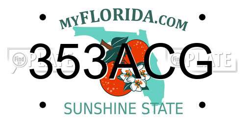 353ACG Florida License Plate