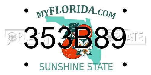 353B89 Florida License Plate