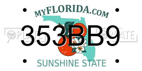 353BB9 Florida License Plate