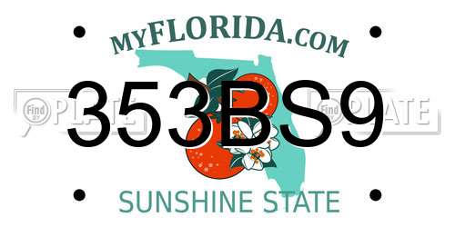 353BS9 Florida License Plate