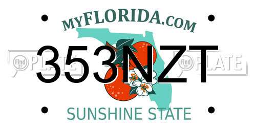353NZT Florida License Plate