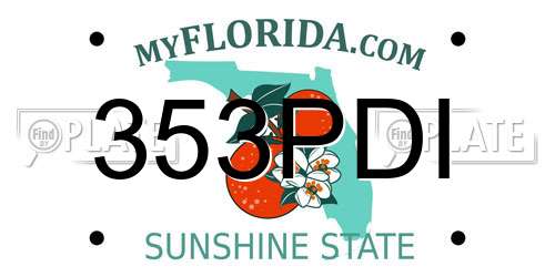 353PDI Florida License Plate