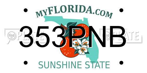 353PNB Florida License Plate