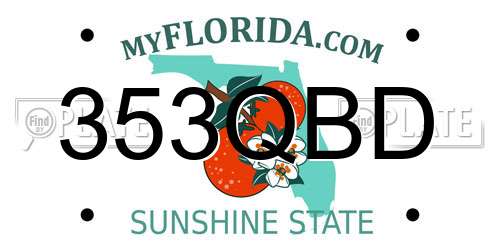 353QBD Florida License Plate