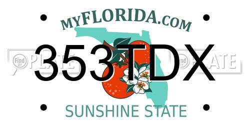 353TDX Florida License Plate
