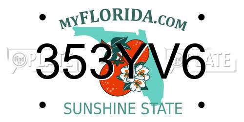 353YV6 Florida License Plate