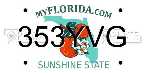 353YVG Florida License Plate