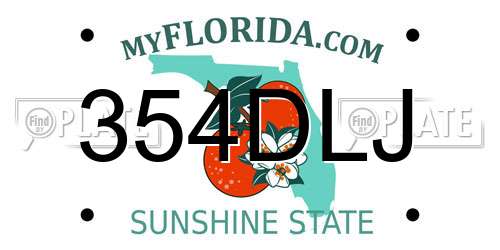 354DLJ Florida License Plate