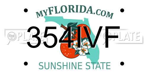 354IVF Florida License Plate