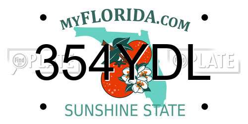 354YDL Florida License Plate