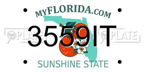 3559IT Florida License Plate