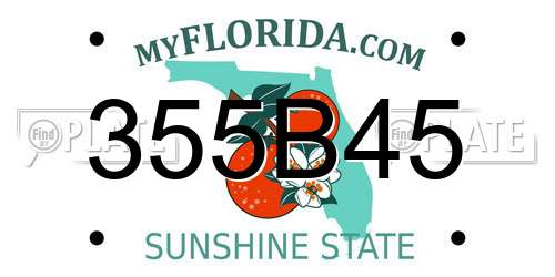 355B45 Florida License Plate