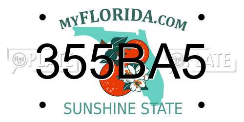355BA5 Florida License Plate