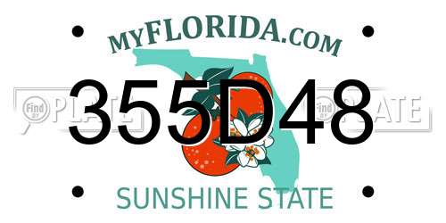 355D48 Florida License Plate