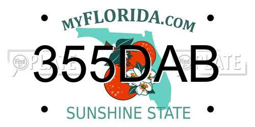 355DAB Florida License Plate
