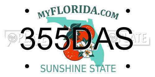 355DAS Florida License Plate